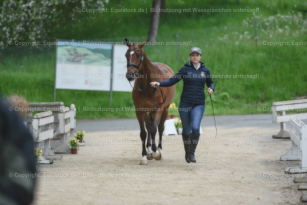 20230514_Impressionen_0116 | equistock
