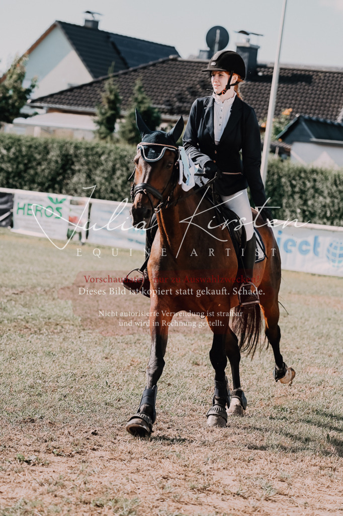 DSC_4941 | Pferde- und Turnierfotografie in Westsachsen. Pferdeportraits, Auftragszeichnungen und intuitive Kunst.