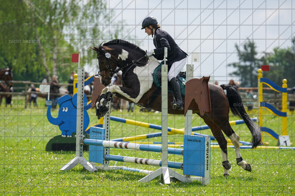 20240509-FAH02337 | Turnierbilder der Turnierfotografen Bayern, Pferdesport Fotografie, Reitsportbilder, Turnier Landberg am Lech, Turnierbilder bayern, Fotoagentur Herrmann