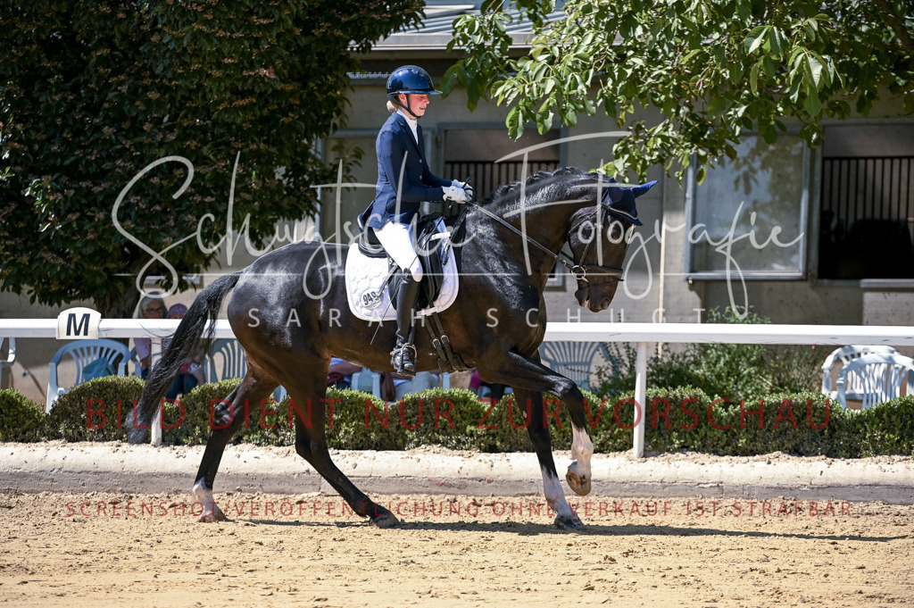 Schugtsche-Aluta25-49.Dressurpferdeprf.A-360 | Schugtsche Fotografie - Realisiert mit Pictrs.com