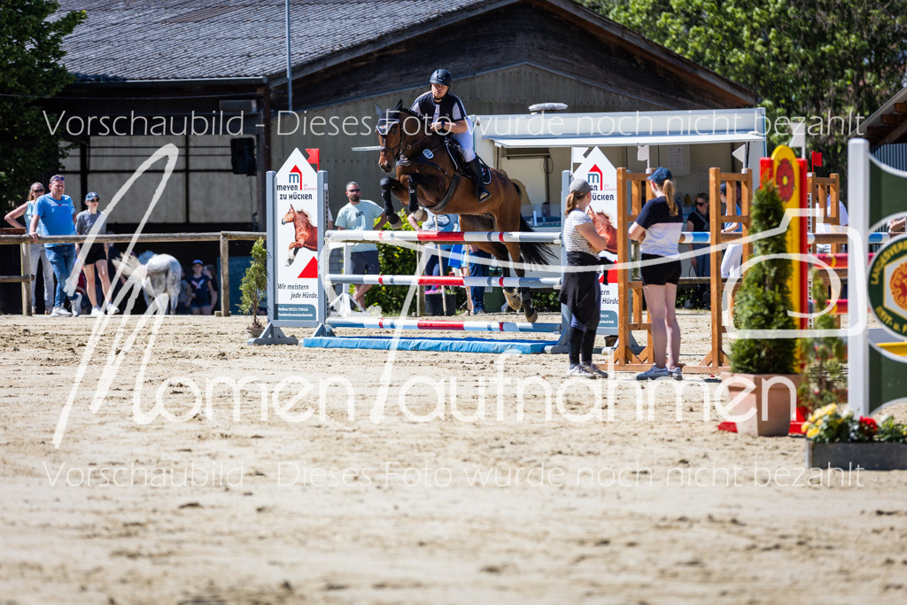 Donop24-M-Spr-024 | MomenTaufnahmen Pferdesportfotos