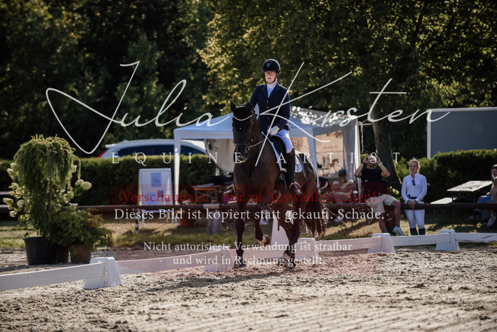 DSC_0565 | Pferde- und Turnierfotografie in Westsachsen. Pferdeportraits, Auftragszeichnungen und intuitive Kunst.
