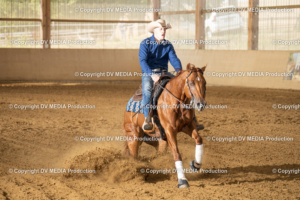 LAU01600 | dv-media-shop - Realisiert mit Pictrs.com