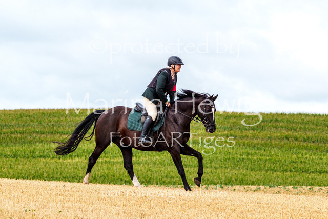 Jagd Knoop 26_MarinaHewigMCH02332 | Fotografie, FotoArt, PferdesportArt, Pferdesportfotografie, Landschaftsfotografie, Reisefotografie, Reise, Pferde - Realisiert mit Pictrs.com