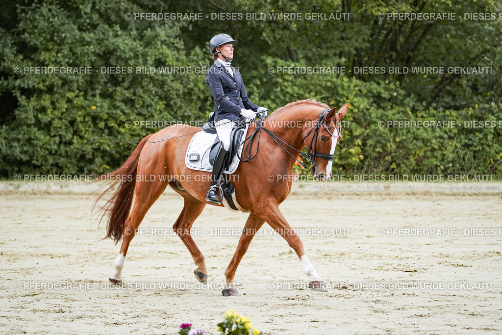 DSC08093 | Pferdegrafie