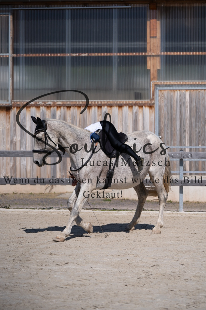 A7V01906 | Pferdefotograf