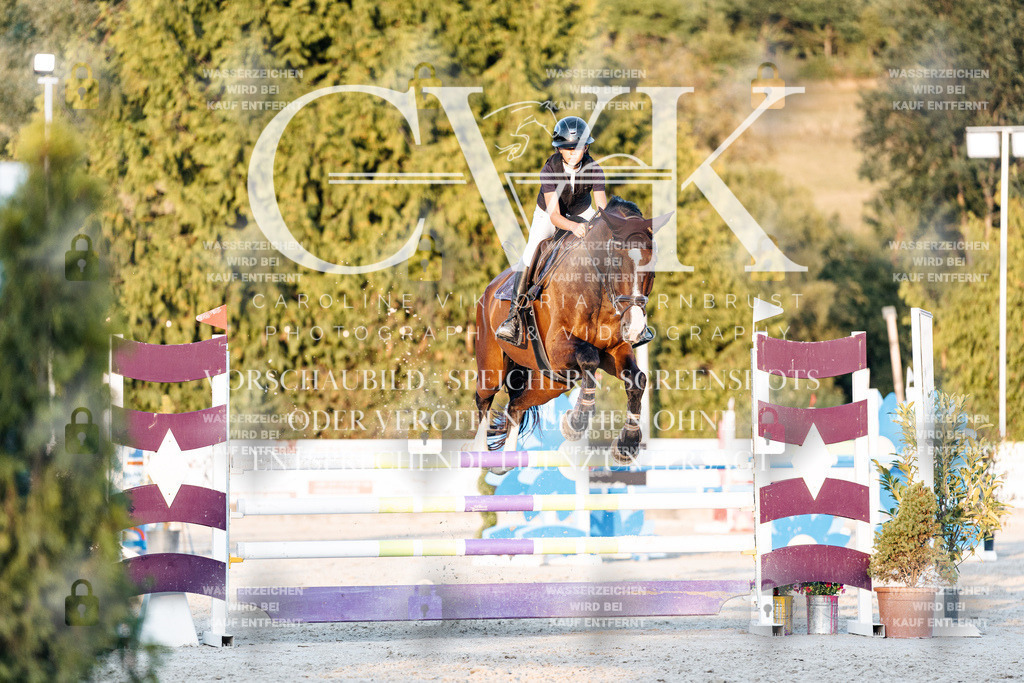 CK901114 | Turnierfotografie Pferdefotografie Trier Rheinland-Pfalz Pferdesport Reitsport Tierfotografie Sportfotografie Pferdevideo Pferdevideografie Equestrianvideography equestrianphotography  - Realisiert mit Pictrs.com