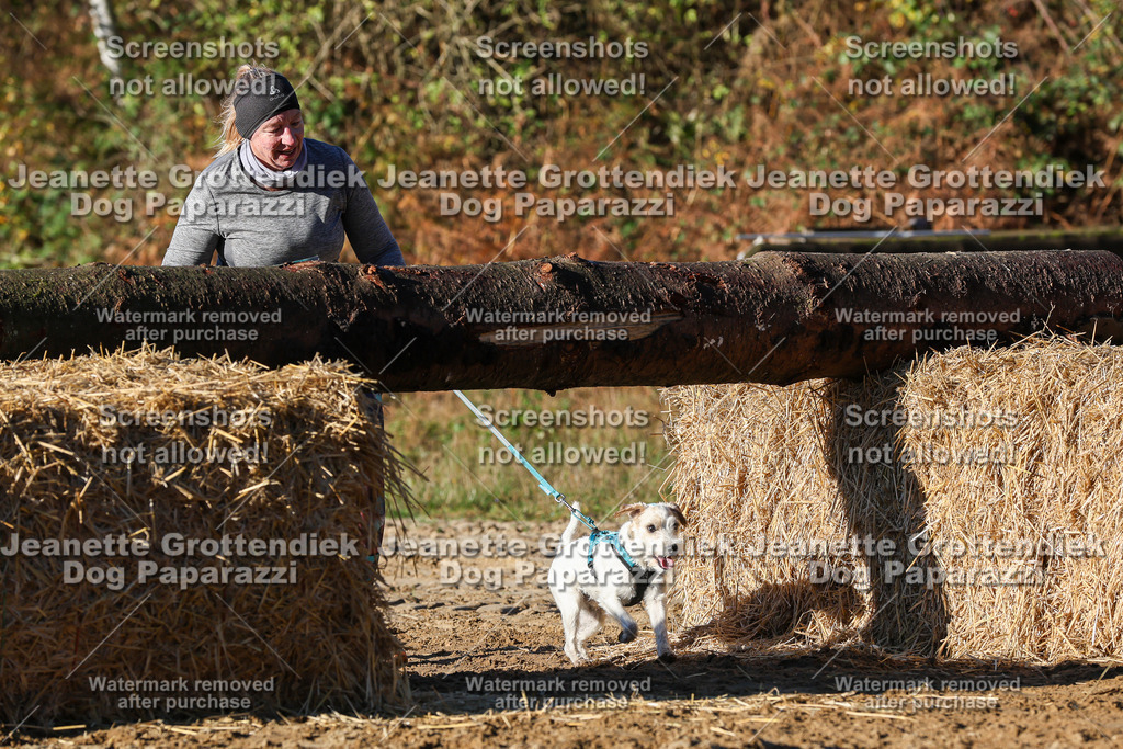 Dog Paparazzi - Strongdog 10-25-1390 | Dog Paparazzi Jeanette Grottendiek Fotografie & Videografie - Realisiert mit Pictrs.com