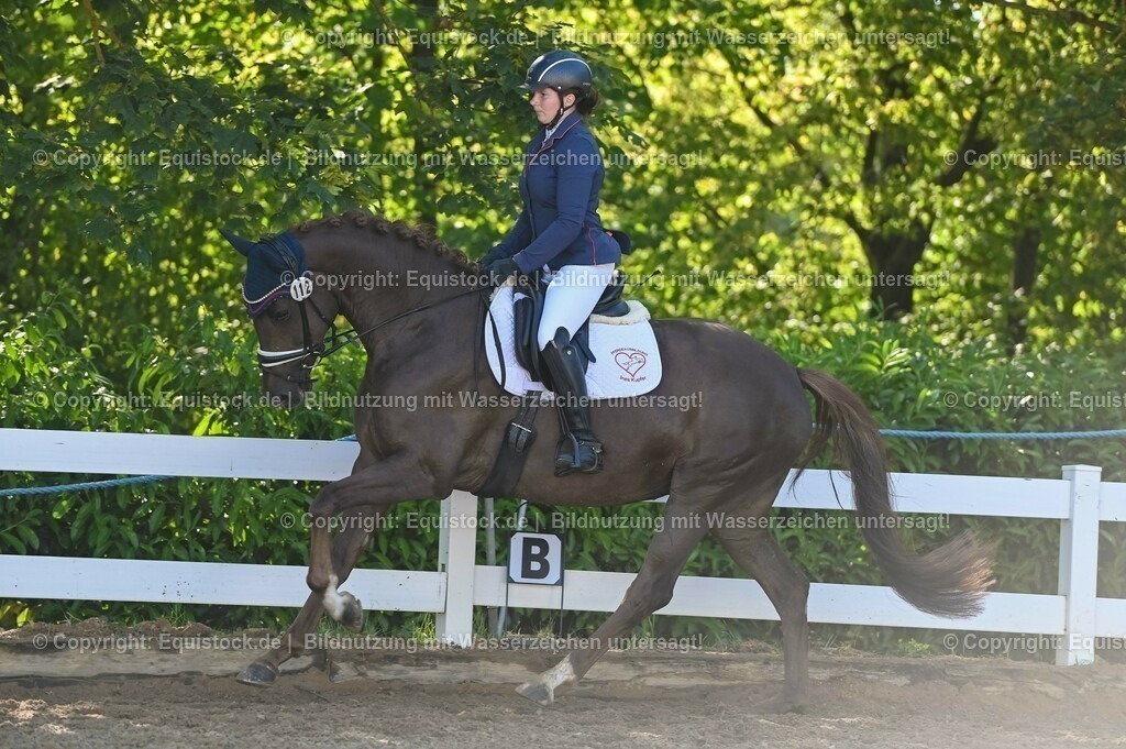 20230715_06_Dressurpferdeprfg. Kl.A_0156 | equistock