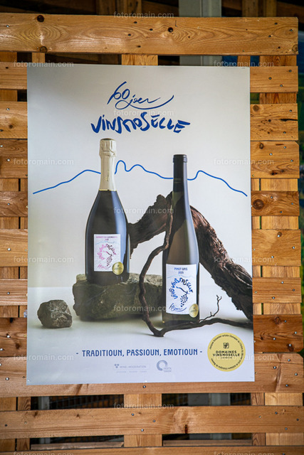 Domaines Vinsmoselle. (7 von 264) | www.fotoromain.lu