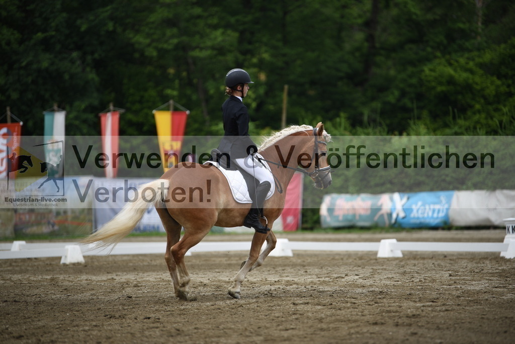 DSC_8138 | equestrian-live-com
