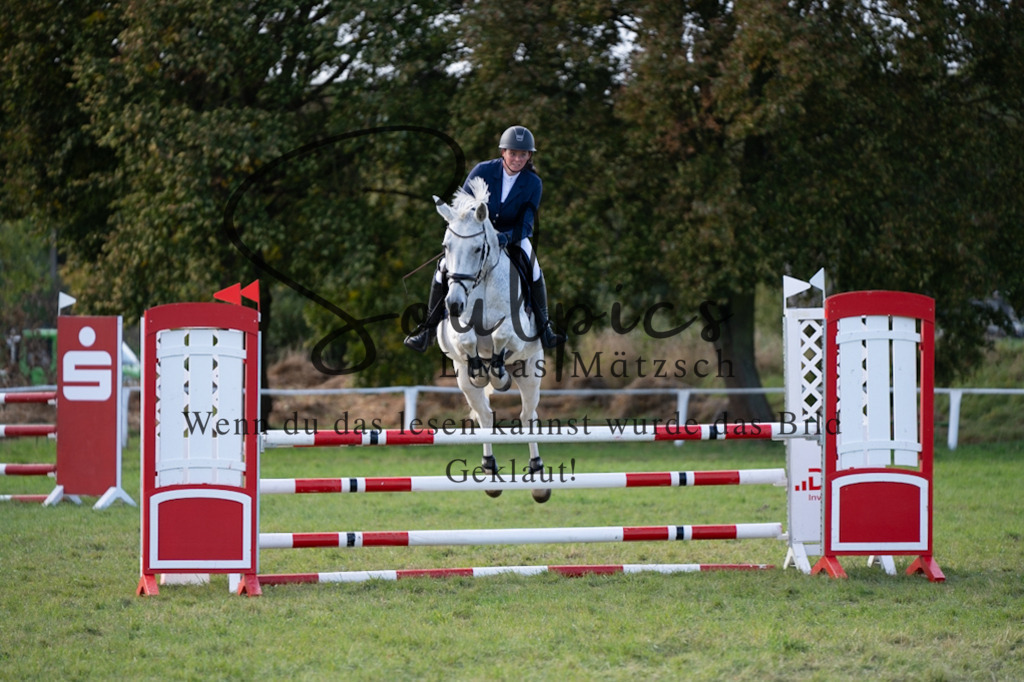 A7V06979 | Pferdefotograf