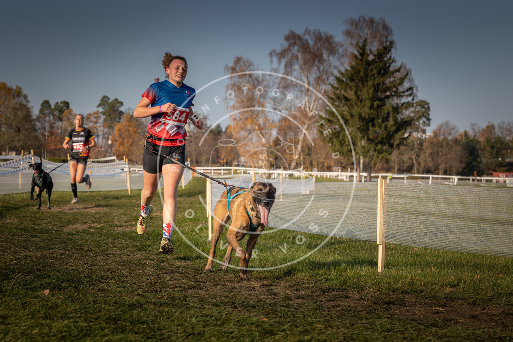 CaniXpix_0L8A9904 | Hundefotografie, Tierfotograf, Pfotenfotografie, Fotoshooting Hund, Hunde Portrait, Hundesport, Hundeportraits, Heideshooting, Hunde, Sportfotograf, Hundefotograf, Turnierhundsport, THS,  - Realisiert mit Pictrs.com