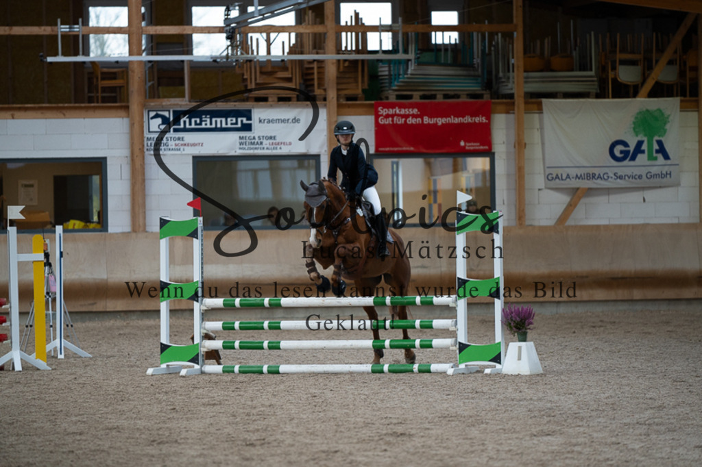 A7V03016 | Pferdefotograf