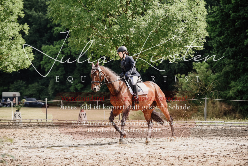 DSC_9620 | Pferde- und Turnierfotografie in Westsachsen. Pferdeportraits, Auftragszeichnungen und intuitive Kunst.