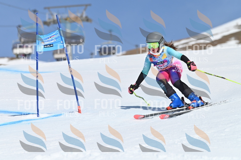 BGV_9400 | holidayphoto