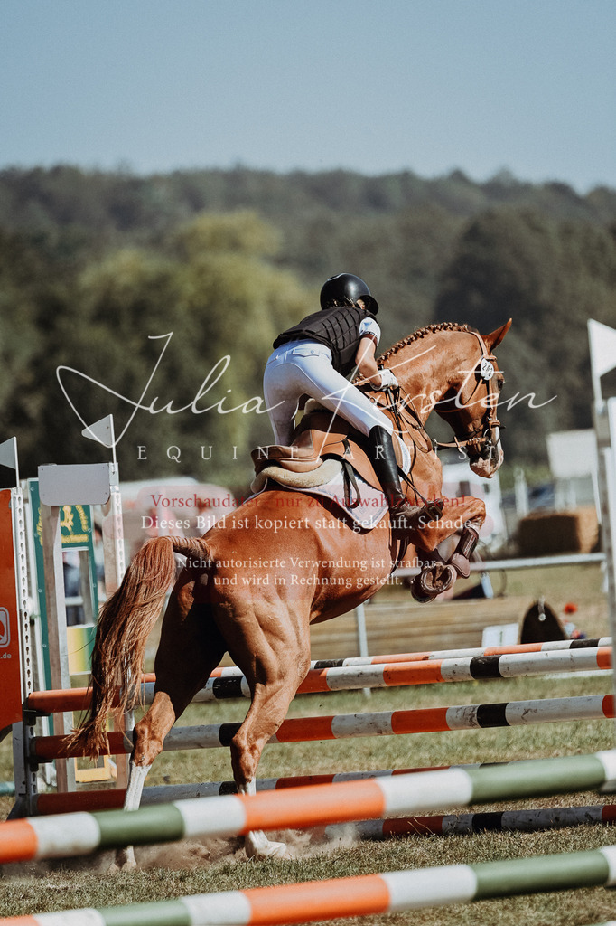 DSC_9524 | Pferde- und Turnierfotografie in Westsachsen. Pferdeportraits, Auftragszeichnungen und intuitive Kunst.