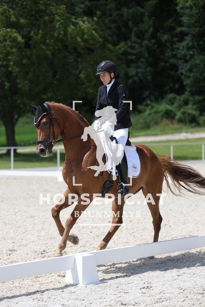 0P6A1212 | Willkommen bei Brunnmayr - Design & Fotografie – Ihrem Spezialisten für Reitturniere und Pferdeveranstaltungen in Oberösterreich, Salzburg und Bayern! Seit über 17 Jahren sind wir leidenschaftlich dabei.