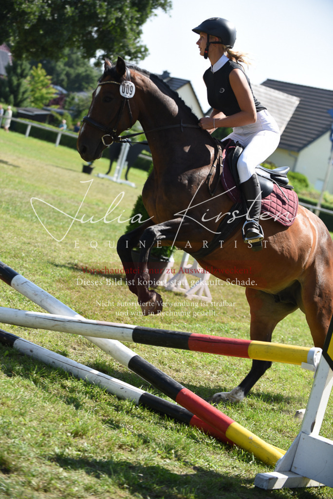 DSC_0146 | Pferde- und Turnierfotografie in Westsachsen. Pferdeportraits, Auftragszeichnungen und intuitive Kunst.