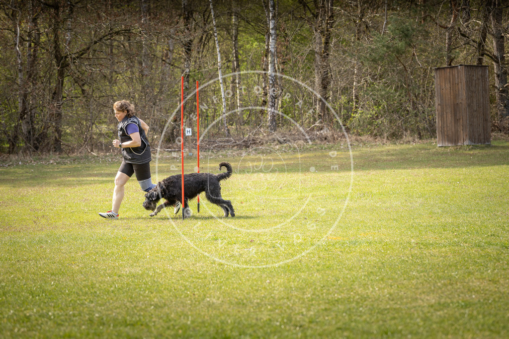 Pfotenfotografie_DV3A9685 | Hundefotografie, Tierfotograf, Pfotenfotografie, Fotoshooting Hund, Hunde Portrait, Hundesport, Hundeportraits, Heideshooting, Hunde, Sportfotograf, Hundefotograf, Turnierhundsport, THS,  - Realisiert mit Pictrs.com