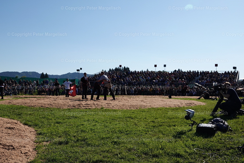 DSC00871 | Schwingen - Realisiert mit Pictrs.com