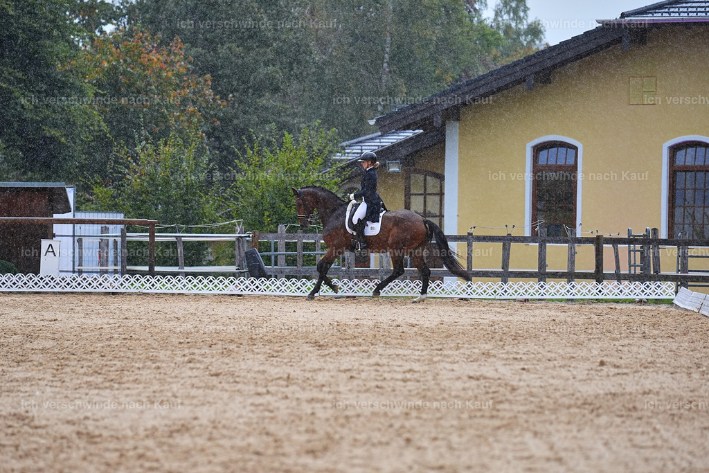 8_1-001-Klasse S_  -Marixx-4337 | working equitationturnier fotograf videograf stoibphotography marixx film working equitation deutschland reitsport turnierfotografie eventfotografie equestrian events