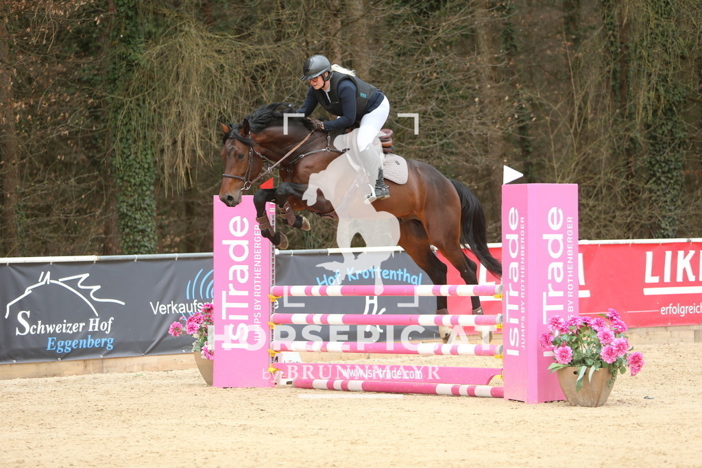 DL2Q6287 | Willkommen bei Brunnmayr - Design & Fotografie – Ihrem Spezialisten für Reitturniere und Pferdeveranstaltungen in Oberösterreich, Salzburg und Bayern! Seit über 17 Jahren sind wir leidenschaftlich dabei.