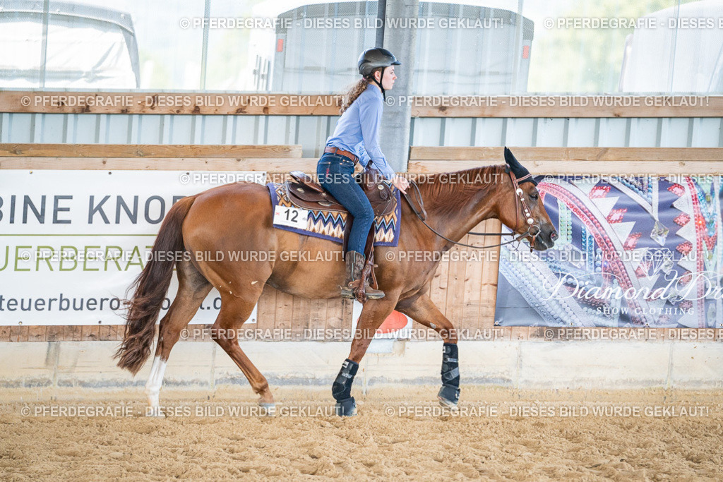 DSC03727 | Pferdegrafie