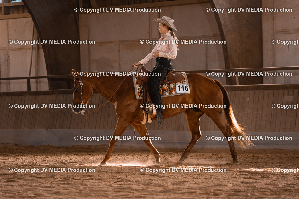 NE101197 | dv-media-shop - Realisiert mit Pictrs.com