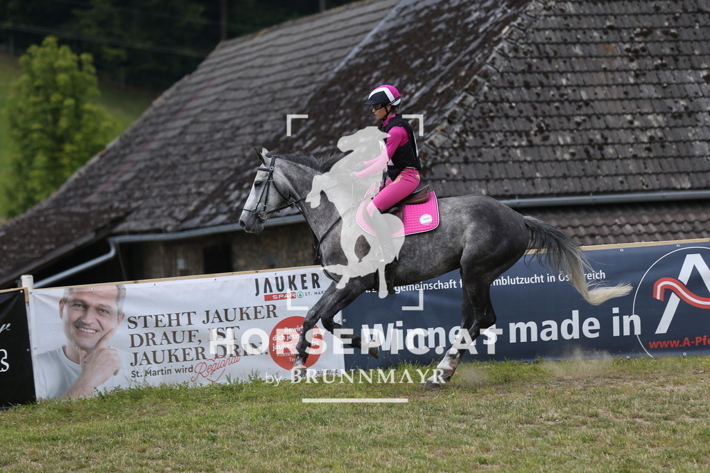 DL2Q2265 | Willkommen bei Brunnmayr - Design & Fotografie – Ihrem Spezialisten für Reitturniere und Pferdeveranstaltungen in Oberösterreich, Salzburg und Bayern! Seit über 17 Jahren sind wir leidenschaftlich dabei.