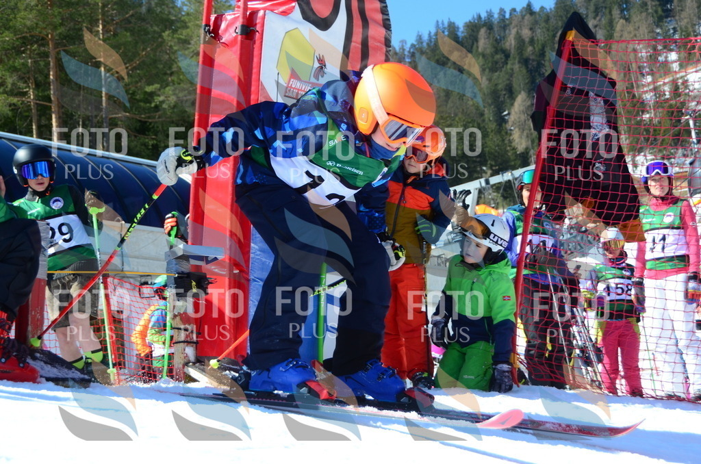 C5951 | holidayphoto