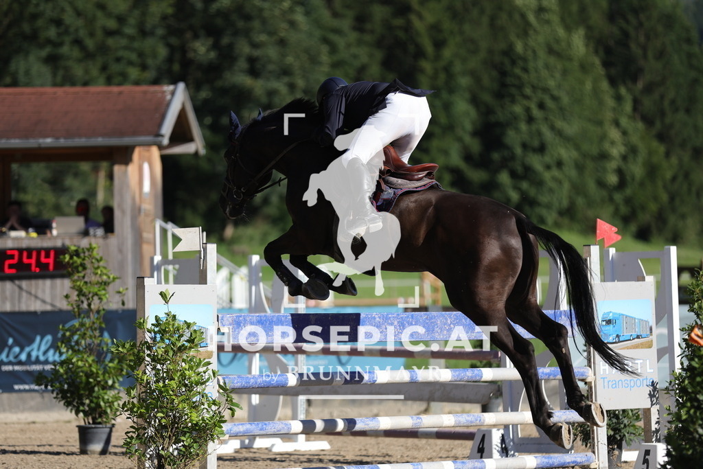 0P6A7436 | Willkommen bei Brunnmayr - Design & Fotografie – Ihrem Spezialisten für Reitturniere und Pferdeveranstaltungen in Oberösterreich, Salzburg und Bayern! Seit über 17 Jahren sind wir leidenschaftlich dabei.