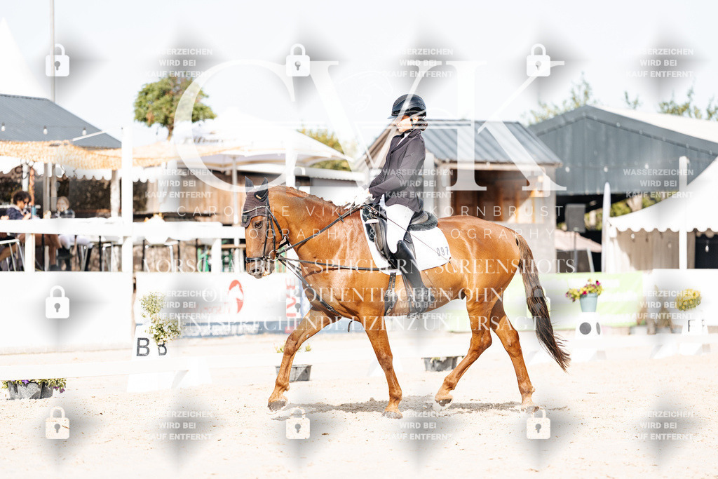 CK905206 | Turnierfotografie Pferdefotografie Trier Rheinland-Pfalz Pferdesport Reitsport Tierfotografie Sportfotografie Pferdevideo Pferdevideografie Equestrianvideography equestrianphotography  - Realisiert mit Pictrs.com