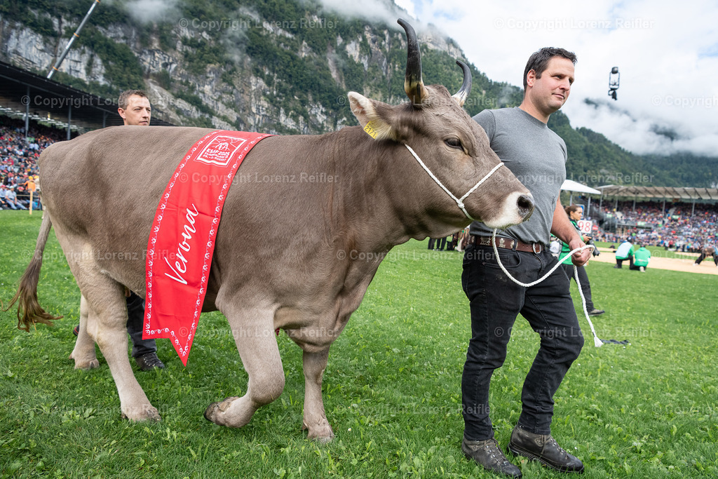 Schwingen -  ESAF 2025 Samstag | Mollis, 30.8.25, Schwingen - ESAF Samstag.
