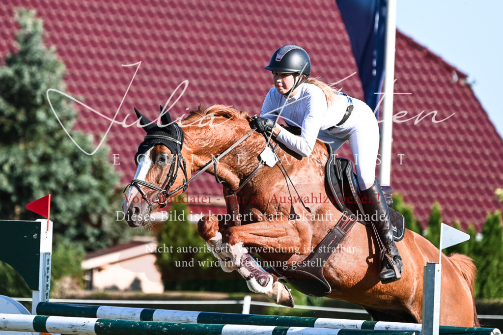 DSC_2765 | Pferde- und Turnierfotografie in Westsachsen. Pferdeportraits, Auftragszeichnungen und intuitive Kunst.