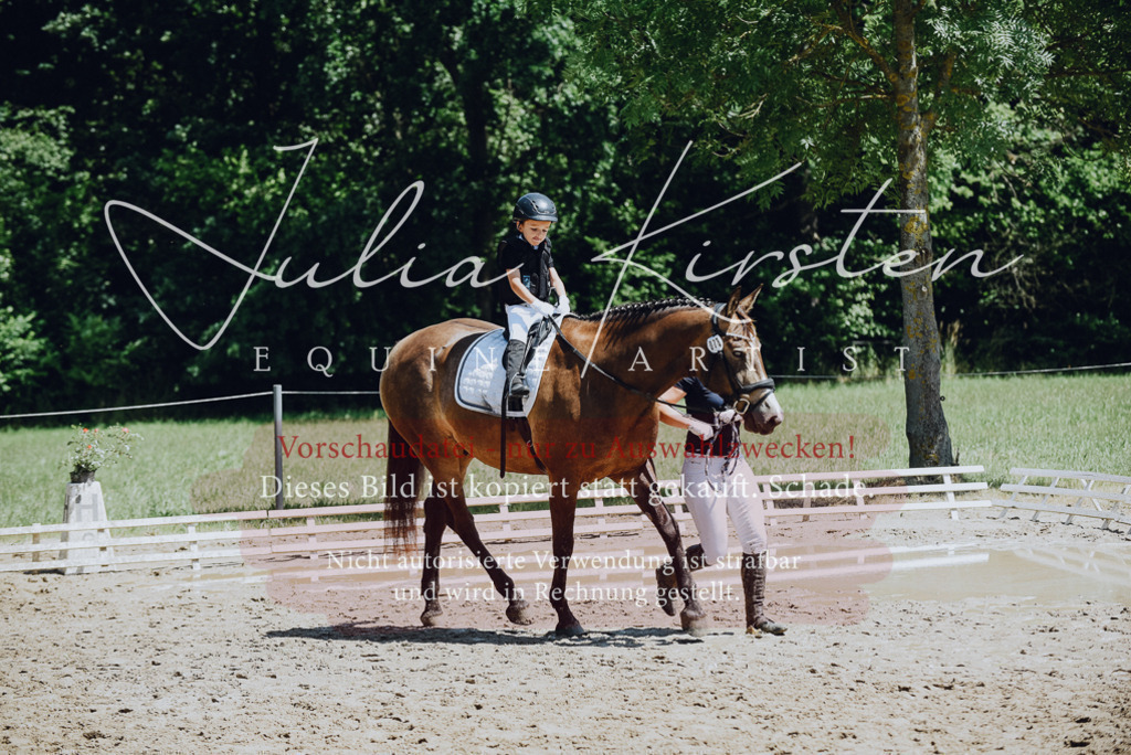DSC_2597 | Pferde- und Turnierfotografie in Westsachsen. Pferdeportraits, Auftragszeichnungen und intuitive Kunst.