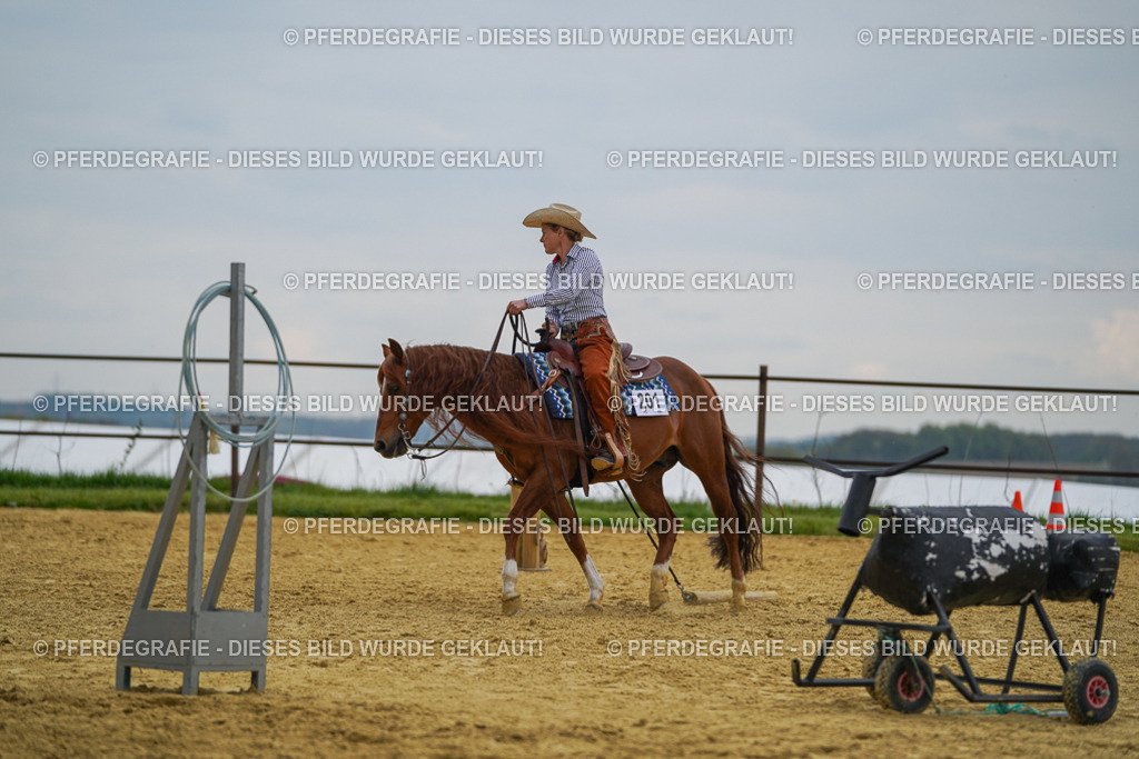 DSC07779 | Pferdegrafie