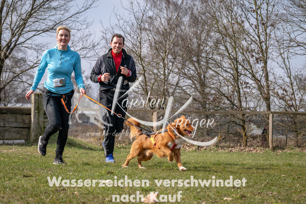 _ZZ90500 | kk-dogfotos