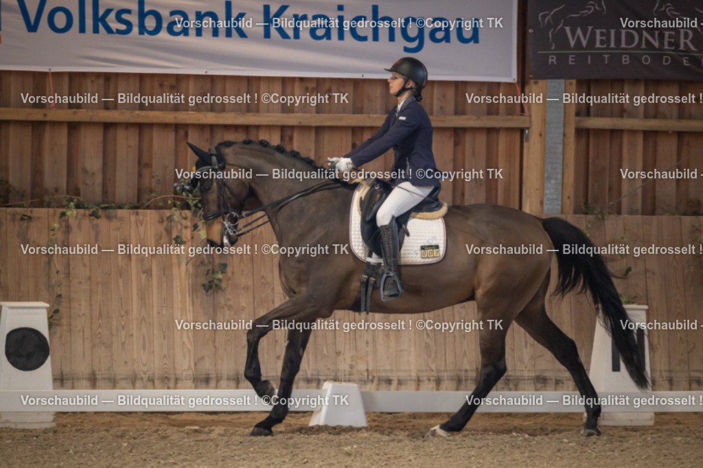 _D5A2647 | Emotionale Pferde- & People-Fotografie rund um Heidelberg, Leimen & Umgebung. Natürliche Fotos von Pferd, Mensch & Familie. Jetzt Termin sichern!