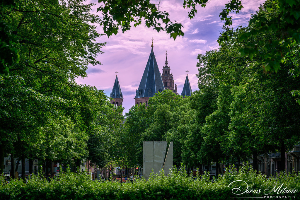 Der Mainzer Dom | Der Mainzer Dom fotografiert aus der Boppstrasse in Mainz
