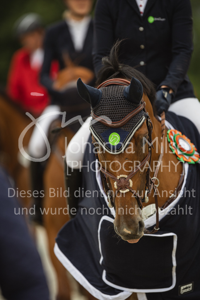 230728_BHO_M2-Spr_ASC-321 | Deine schönsten Turniermomente als professionelle Fotos! Entdecke hochwertige Pferdesport-Fotografie im Online-Shop. Jetzt Fotos finden & bestellen!