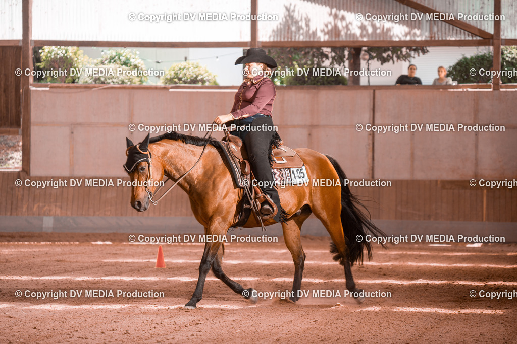 NE300623 | dv-media-shop - Realisiert mit Pictrs.com