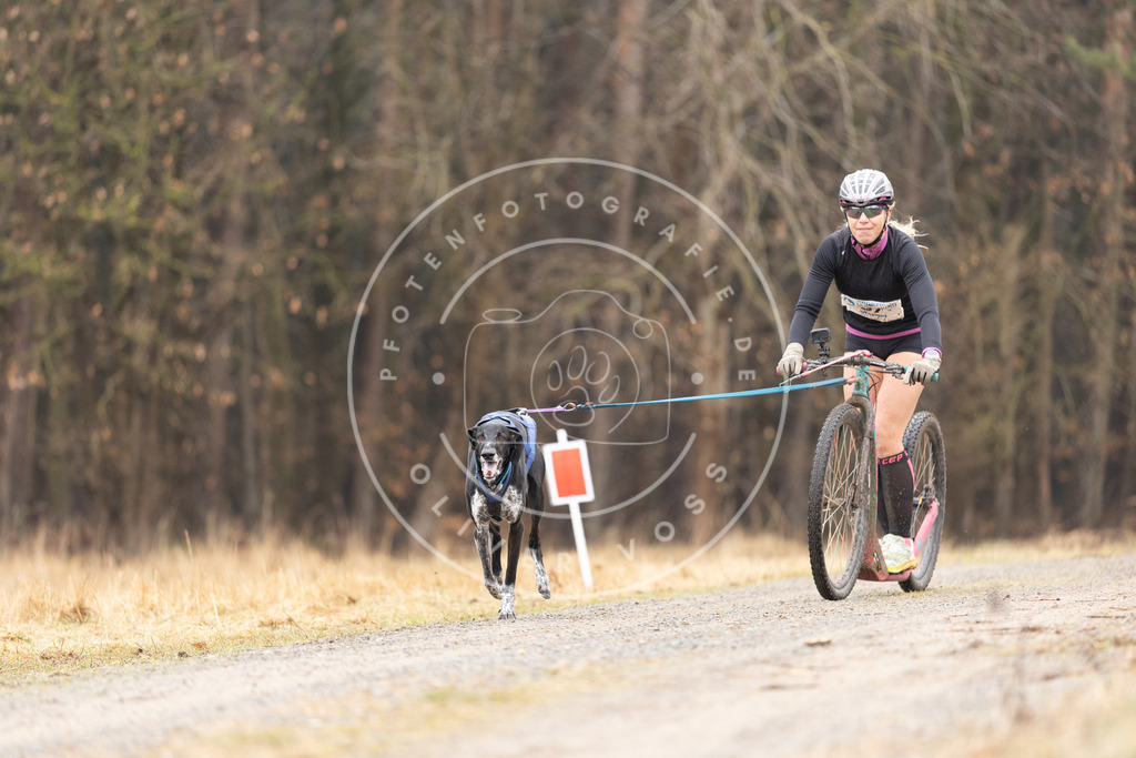 DV3A3160 | Hundefotografie, Tierfotograf, Pfotenfotografie, Fotoshooting Hund, Hunde Portrait, Hundesport, Hundeportraits, Heideshooting, Hunde, Sportfotograf, Hundefotograf, Turnierhundsport, THS,  - Realisiert mit Pictrs.com