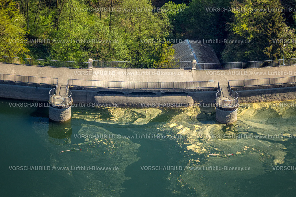 Breckerfeld240504703 | Luftbild, Staumauer der Glörtalsperre im Waldgebiet, verunreinigtes Wasser, Loh, Breckerfeld, Ruhrgebiet, Nordrhein-Westfalen, Deutschland