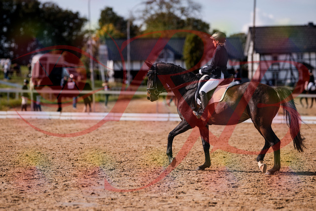 2026_10_03_Siefer-Hof_133853_Z81_98061947 | Professionelle Reitsport-, Turnier- und Eventfotografie von Robert Broda. Galerien mit ausgewählten und bearbeiteten Bildern direkt online ansehen und bestellen.