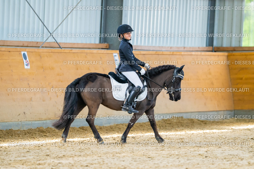 DSC06649 | Pferdegrafie