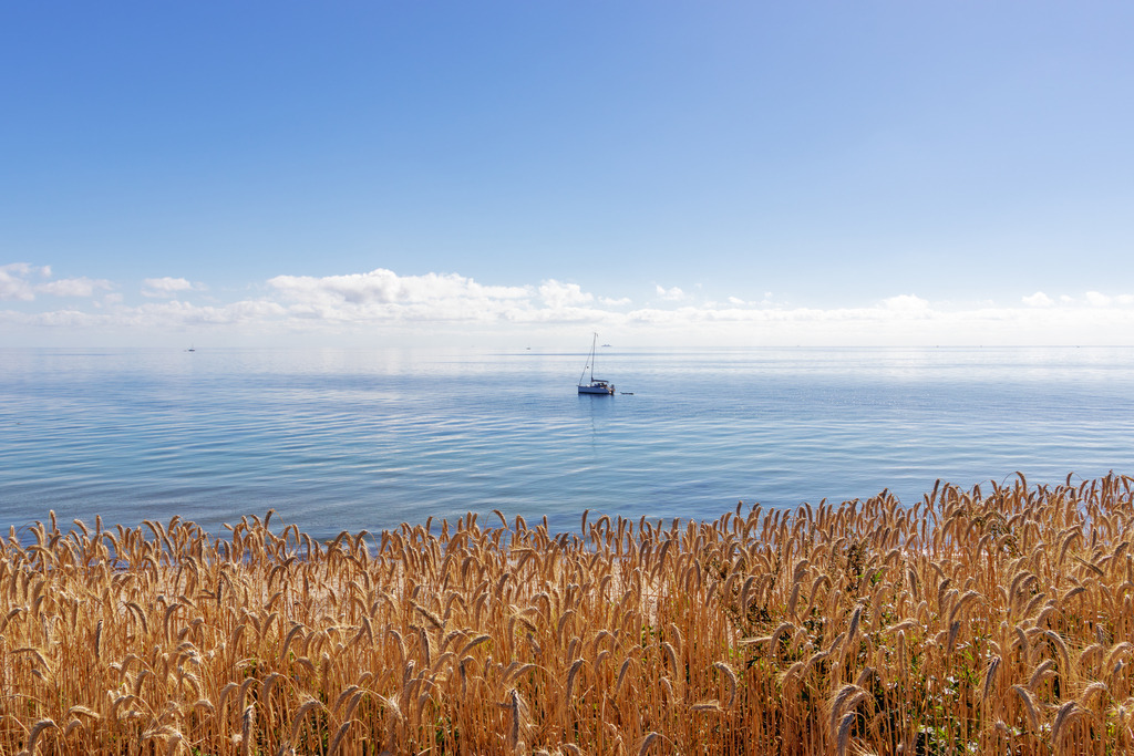 Wandbild: Sommer an der Steilküste in Schönhagen | Erleben Sie die atemberaubende Schönheit der Steilküste von Schönhagen im Sommer mit diesem beeindruckenden Wandbild. Direkt am Rand der Steilküste wächst prachtvolles Korn, das im goldenen Sonnenlicht leuchtet und dem Bild eine warme, einladende Atmosphäre verleiht. Im Hintergrund erstreckt sich die ruhige, tiefblaue Ostsee, auf der ein elegantes Segelboot sanft dahingleitet.Dieses Bild fängt die Essenz eines perfekten Sommertages ein und wird jeden Raum in Ihrem Zuhause oder Büro mit seinem friedlichen und malerischen Charme bereichern. Das Wandbild ist in verschiedenen Formaten erhältlich, darunter Leinwand, Alu-Dibond, Acrylglas, FineArt und als Akustikbild, und wird individuell für Sie produziert.Ideal für: Liebhaber von maritimen Landschaften, Naturfotografie und all jene, die eine Ruheoase in ihren vier Wänden schaffen möchten. - Realisiert mit Pictrs.com