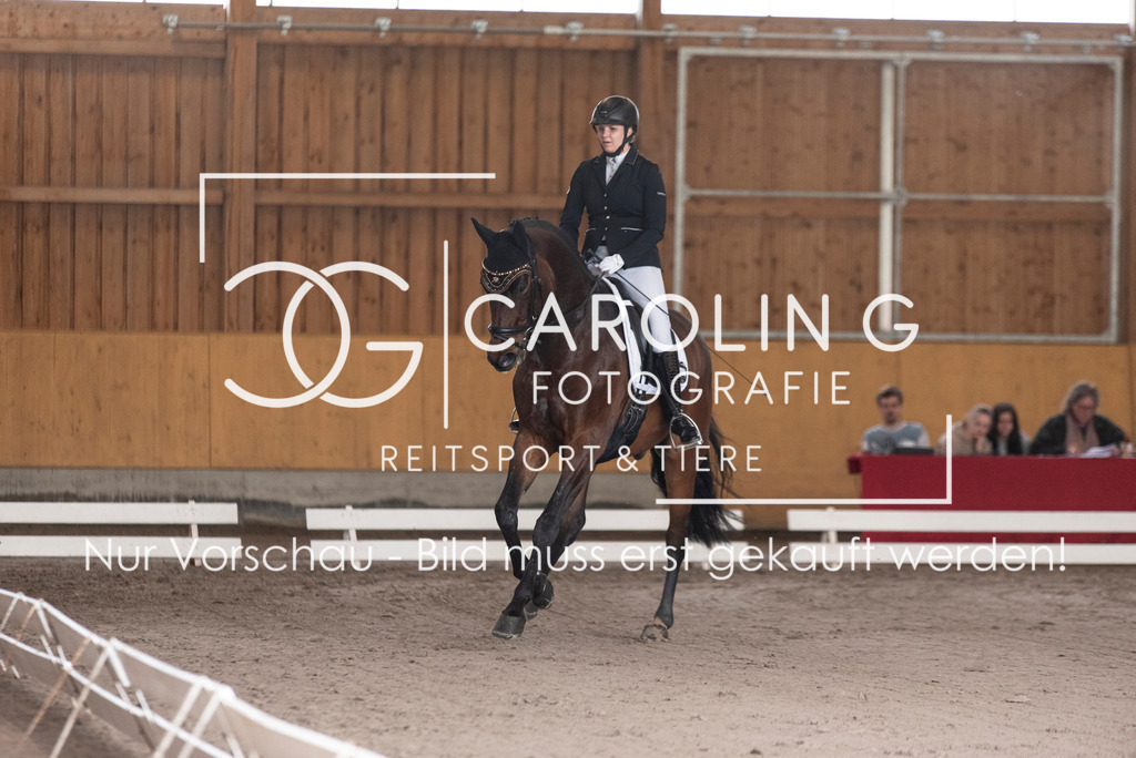 DSC_2290 | Carolin Gieschke