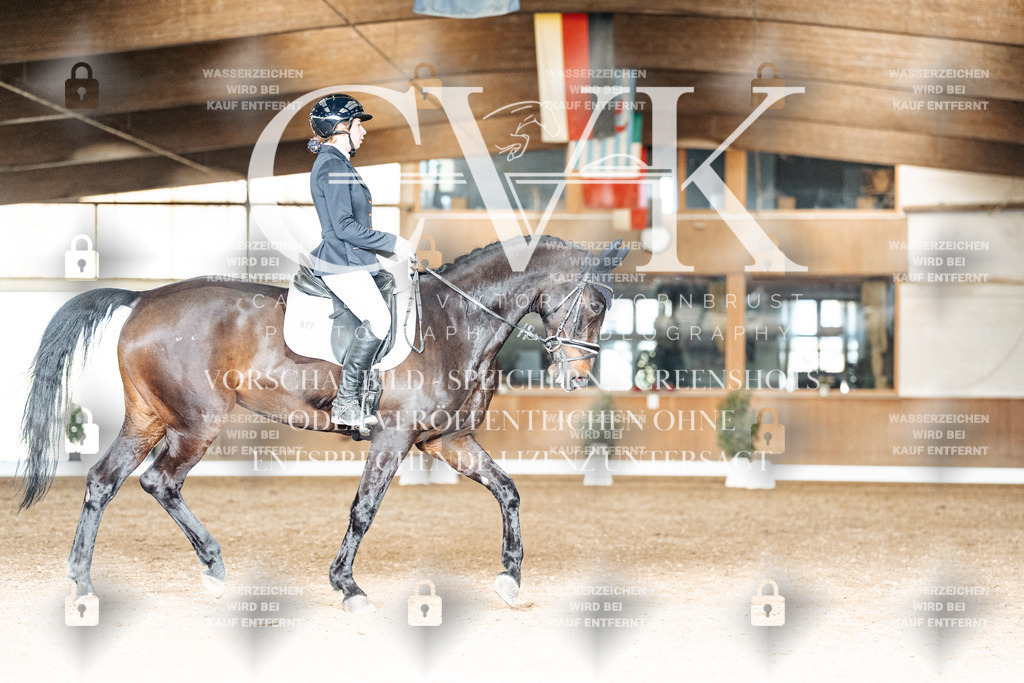 CK902331 | Turnierfotografie Pferdefotografie Trier Rheinland-Pfalz Pferdesport Reitsport Tierfotografie Sportfotografie Pferdevideo Pferdevideografie Equestrianvideography equestrianphotography  - Realisiert mit Pictrs.com