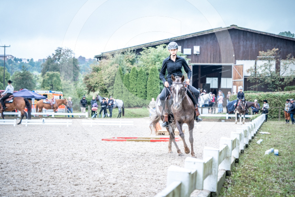 HEB08086 | BS-foto